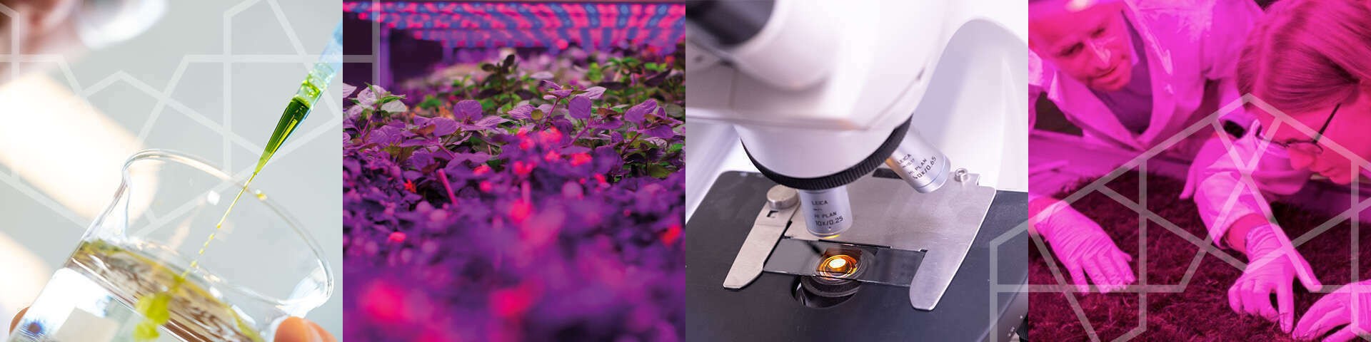 Salesmanager meststoffen Land- en Tuinbouw Salesmanager meststoffen Land- en Tuinbouw